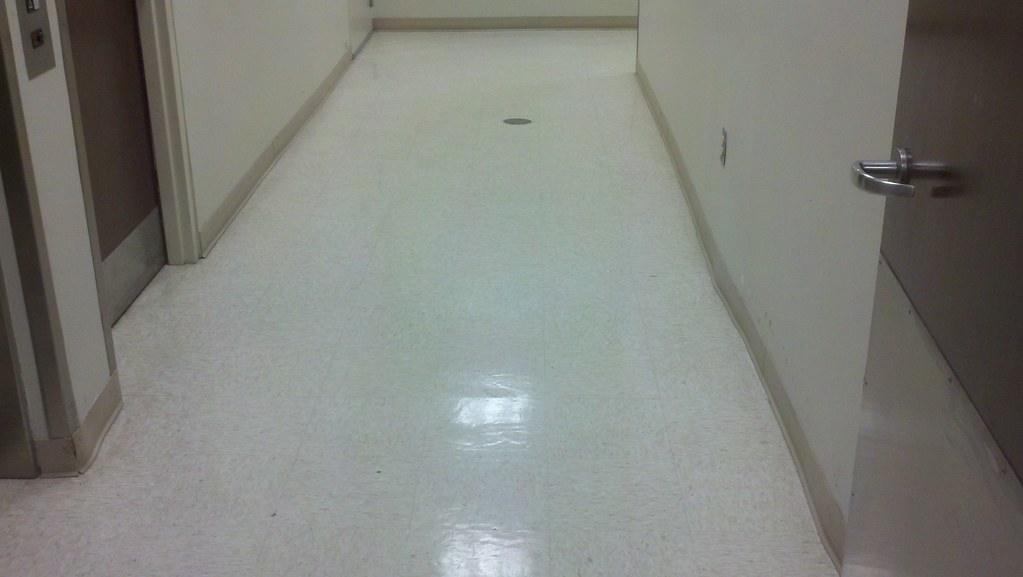 A freshly cleaned office corridor