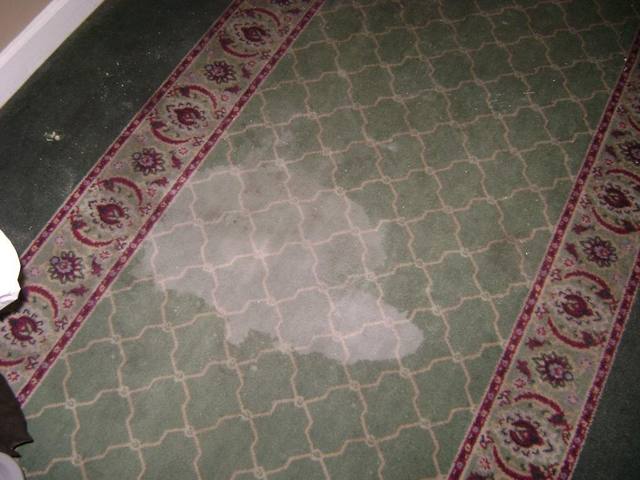 A heavily soiled carpet before extraction cleaning